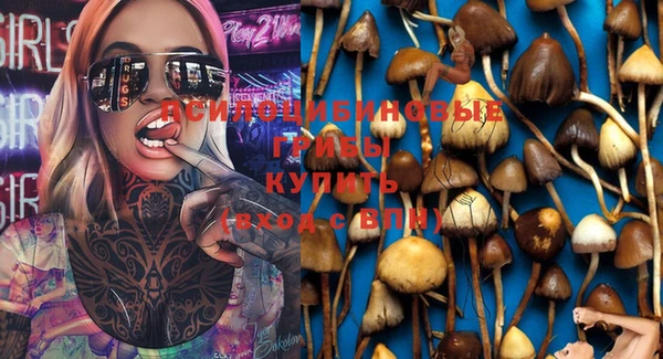 прущая мука Михайловск